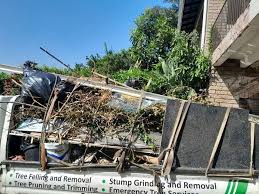 Best Shed Removal  in Paramount, CA